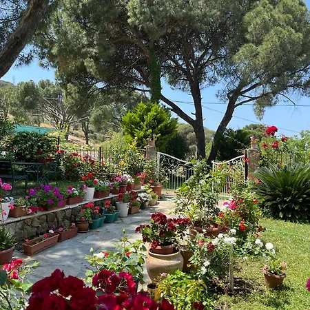 Gunebakan Taliani Apart Otel 2*