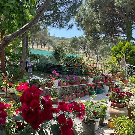 Gunebakan Taliani Apart Otel Ayvalı